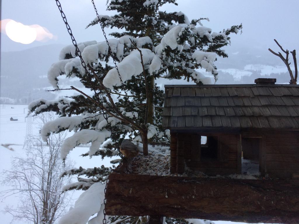 Ferienwohnung Dani I Grobming Bagian luar foto