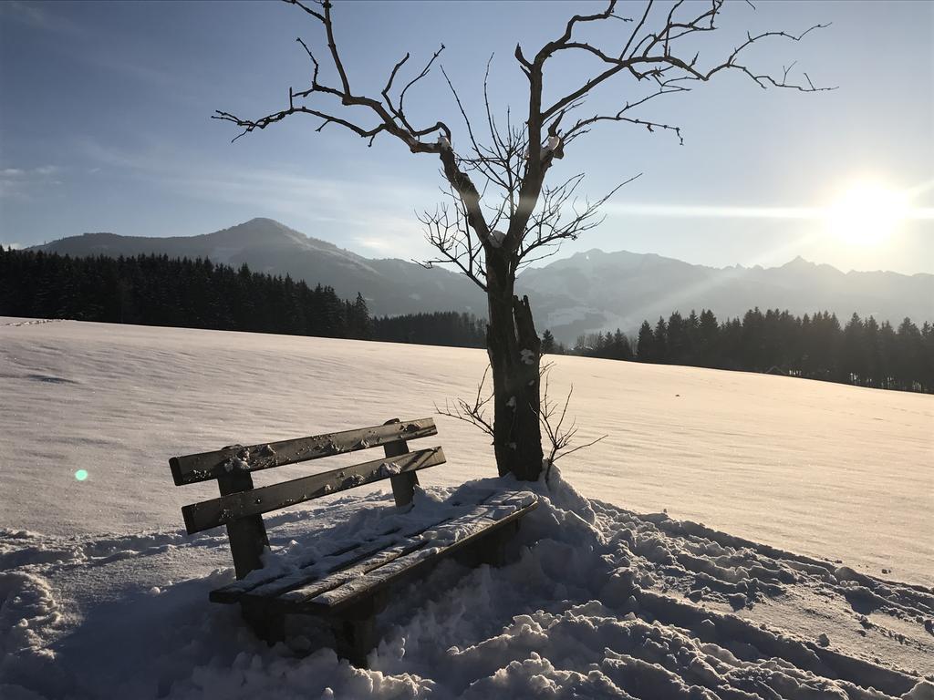 Ferienwohnung Dani I Grobming Bagian luar foto